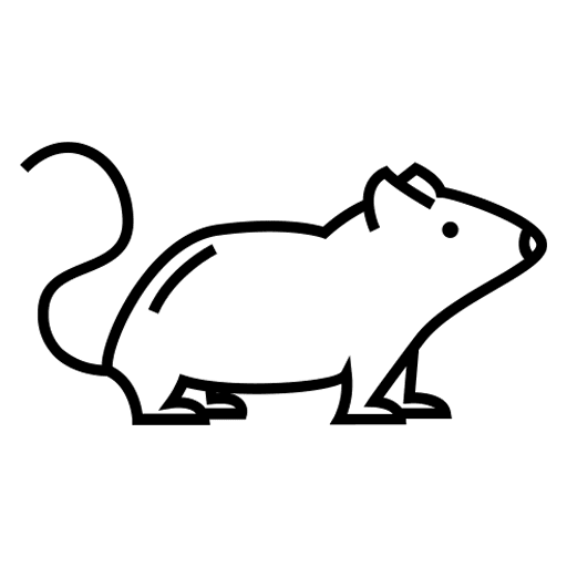 repair